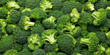 Broccoli oil para sa buhok