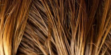 Πώς να προσδιορίσετε τον τύπο των μαλλιών και του τριχωτού της κεφαλής σας